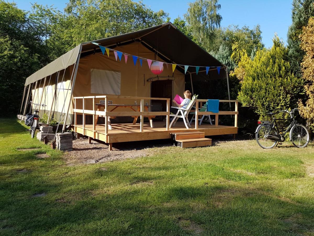 Gasselte Siblu De Lente Van Drenthe מראה חיצוני תמונה