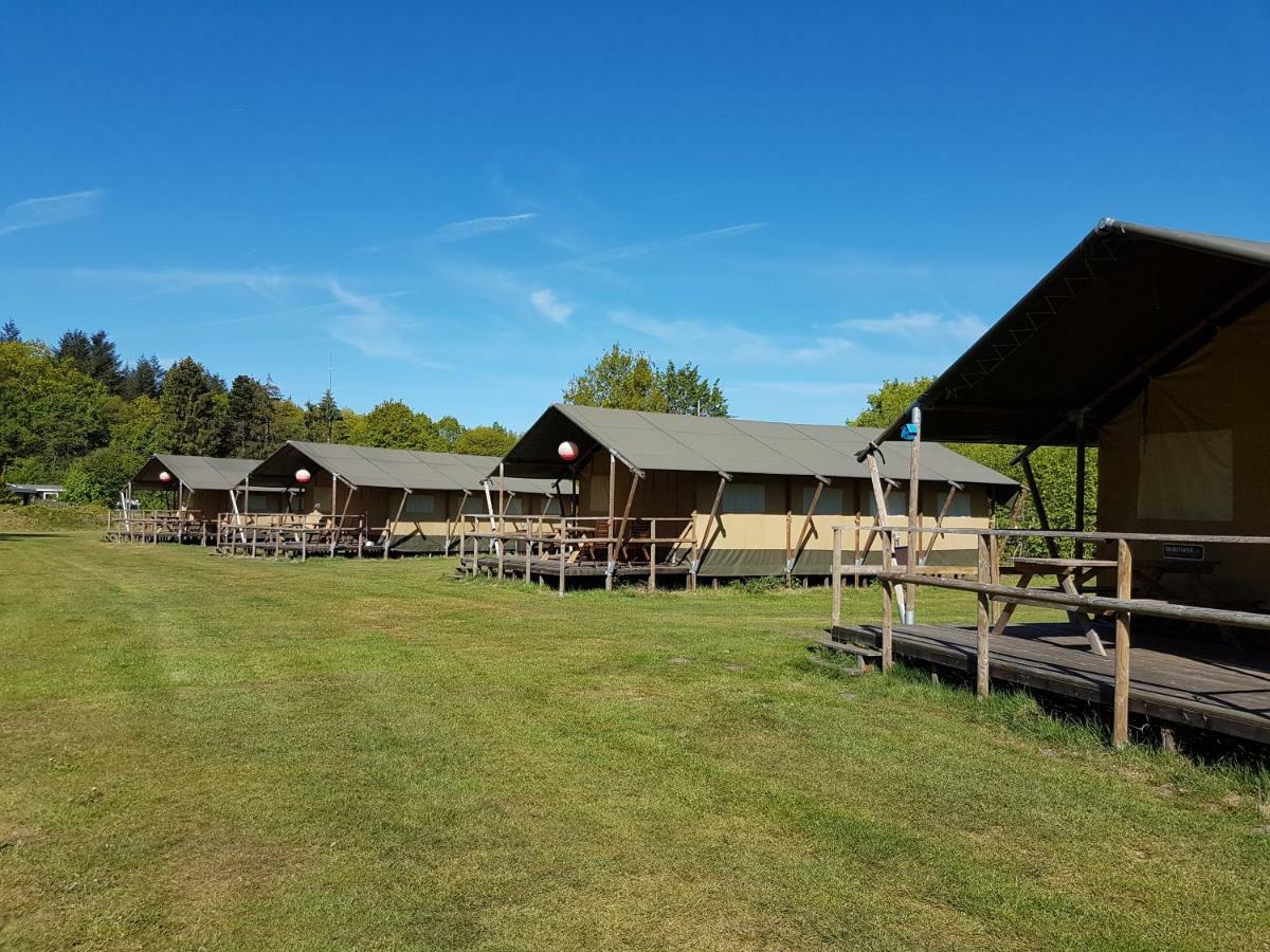 Gasselte Siblu De Lente Van Drenthe מראה חיצוני תמונה